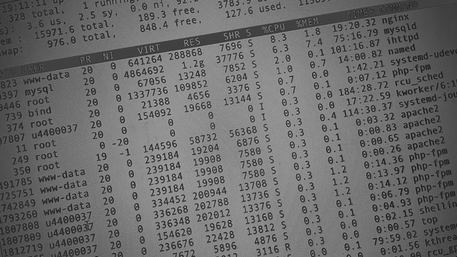 Настройка сервера в Сунже