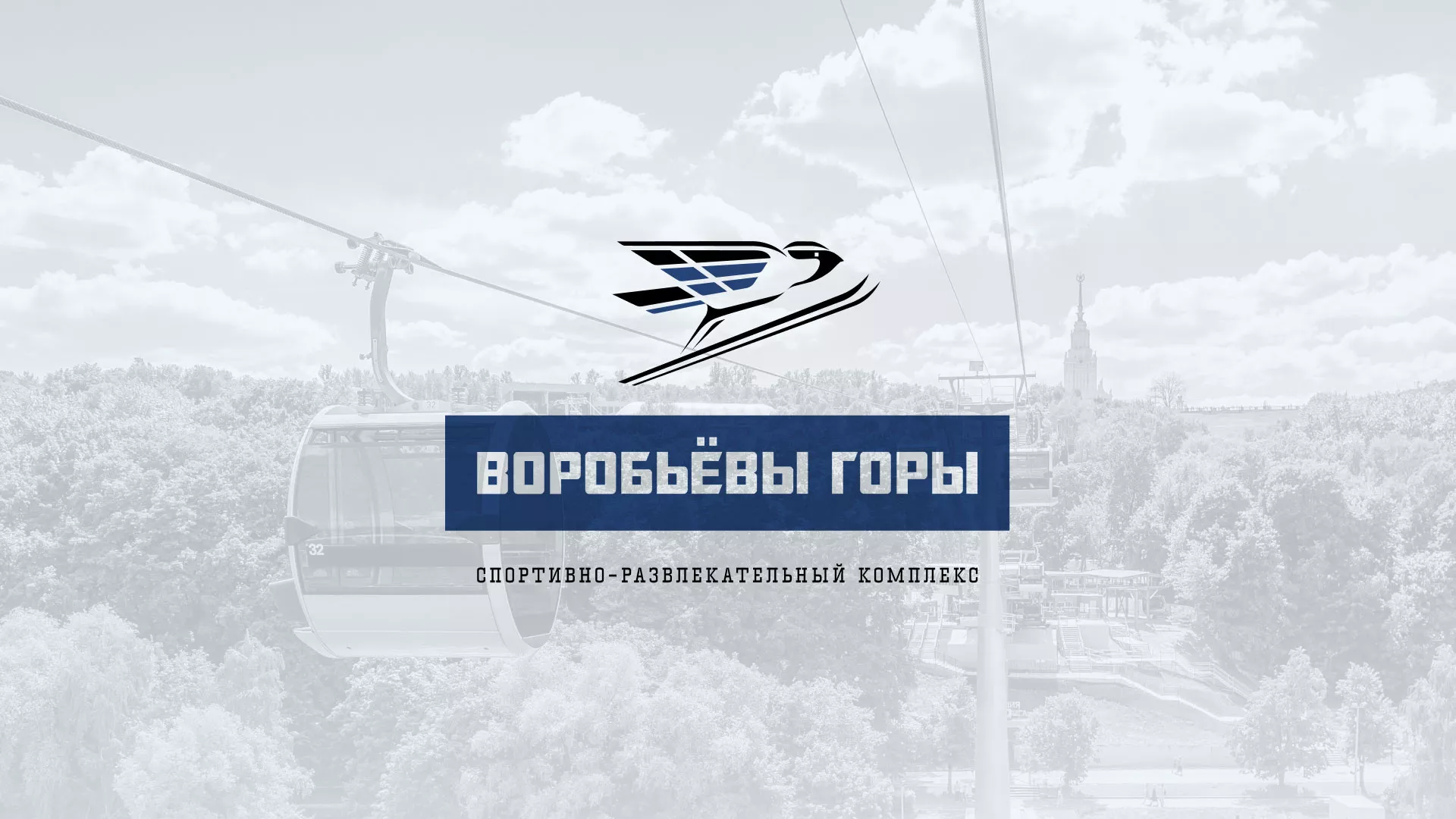 Разработка сайта в Сунже для спортивно-развлекательного комплекса «Воробьёвы горы»