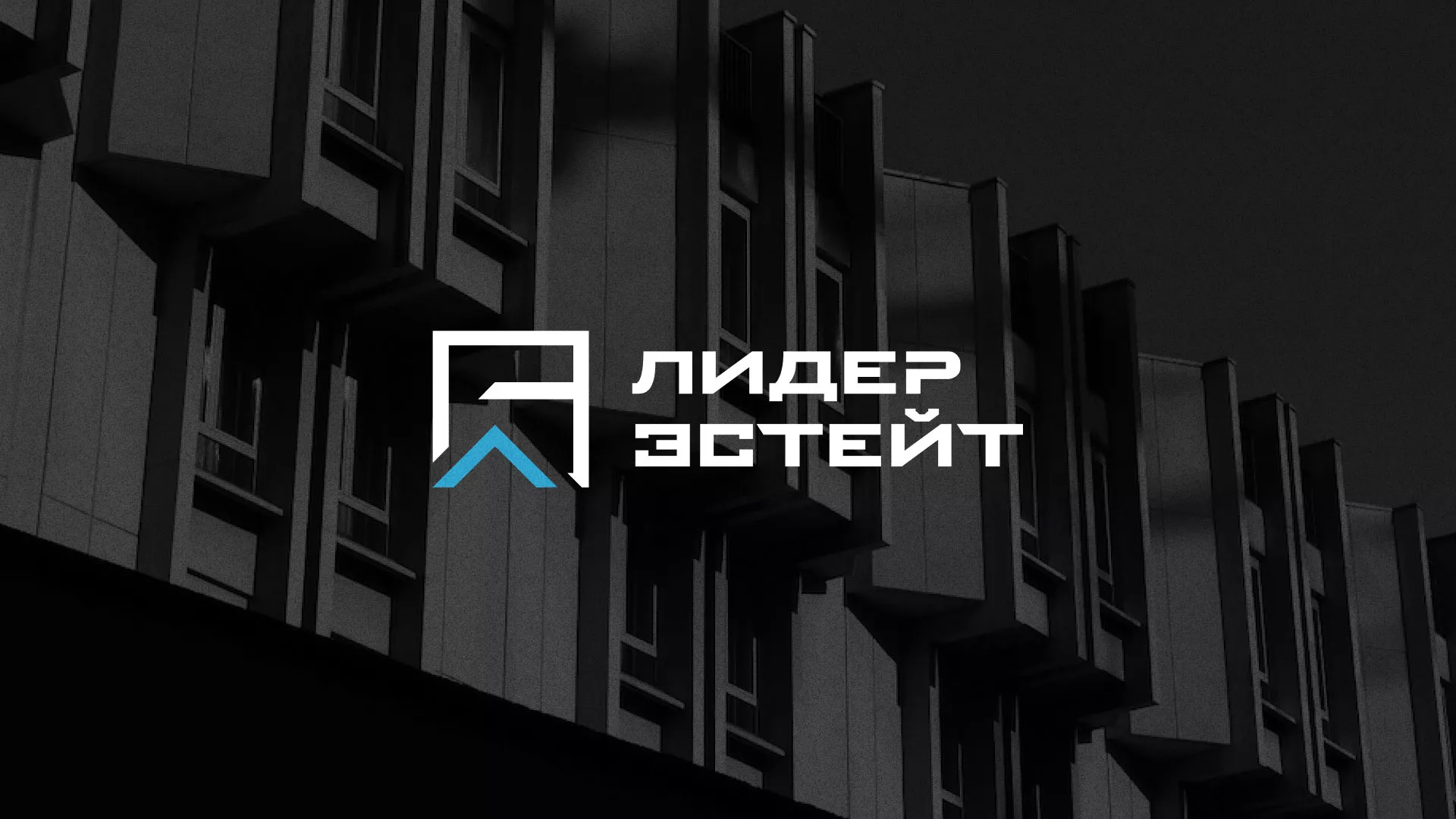 Разработка логотипа агентства недвижимости «Лидер Эстейт» в Сунже